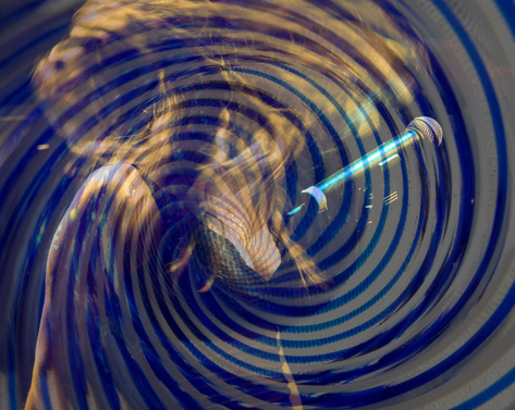 You want to be hypnotized right now You want to be hypnotized right now